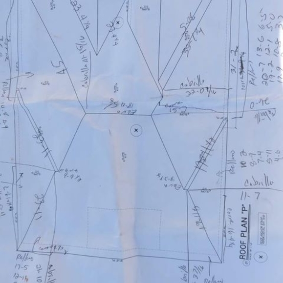 Meet your Posher, Darwin - Picture 1 of 1